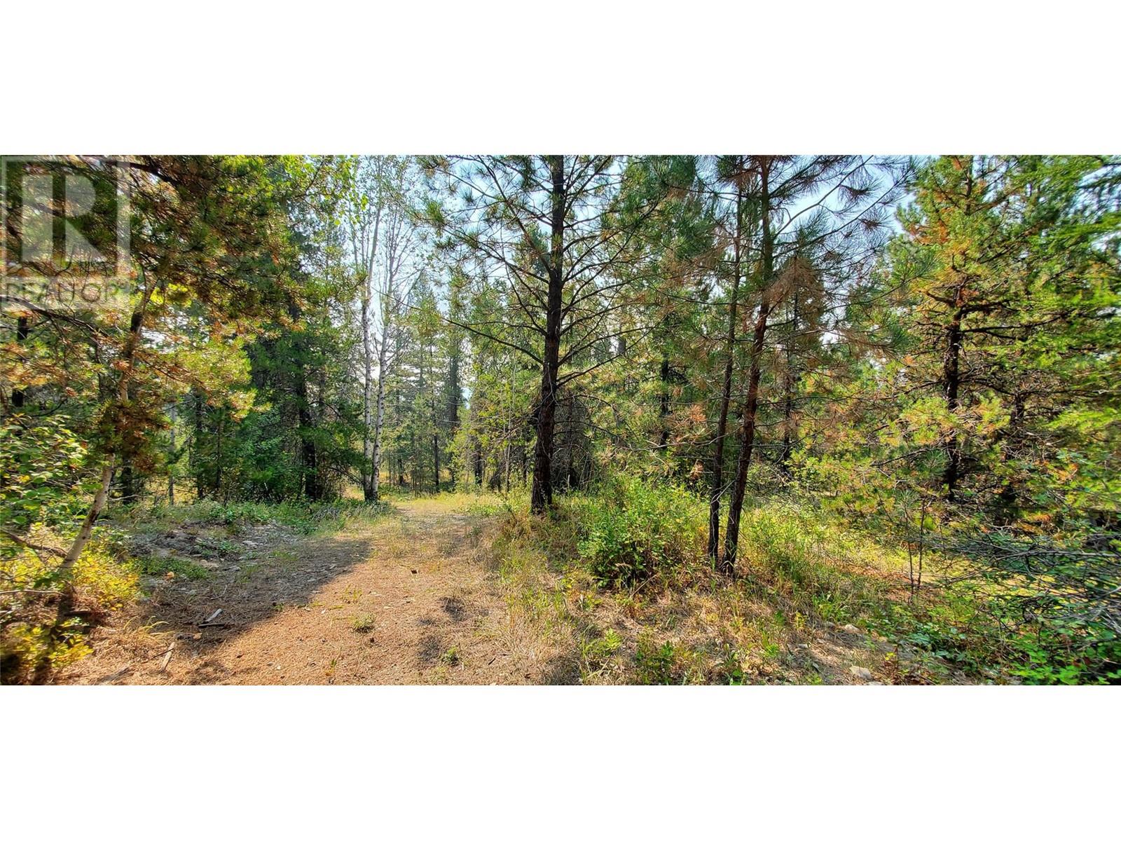 1670 MT BALDY Road, Rock Creek