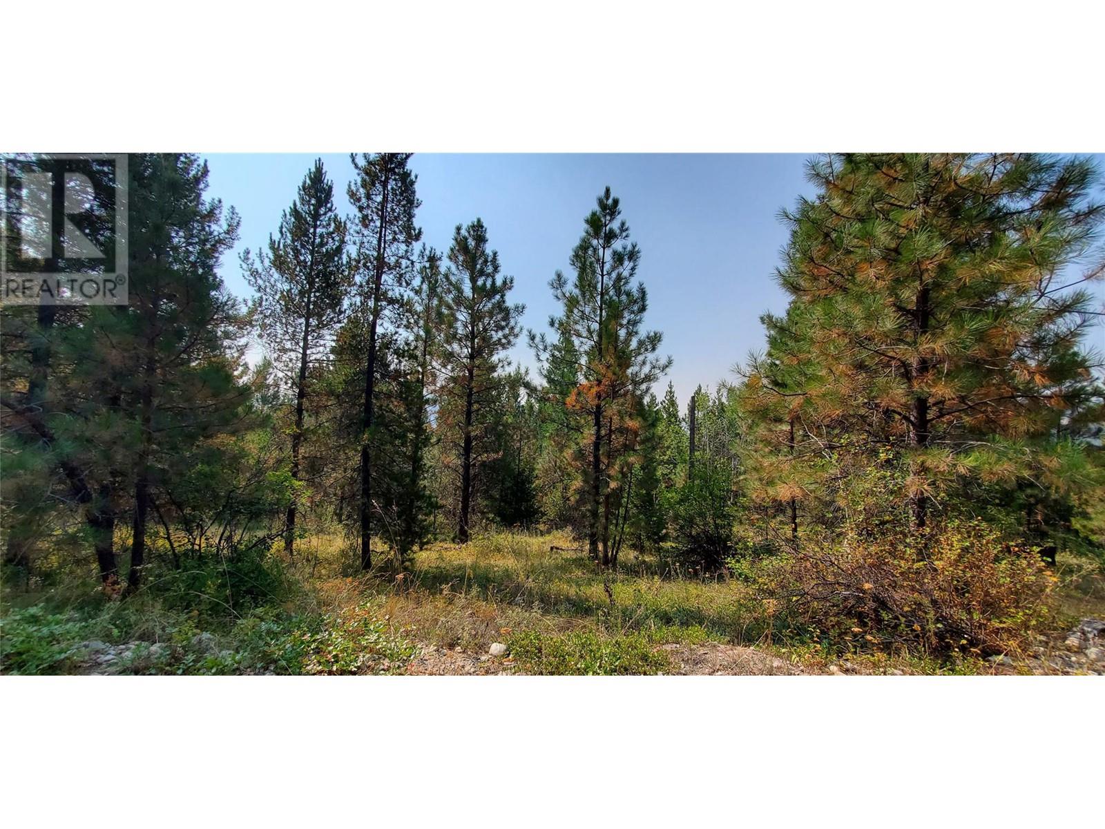 1670 MT BALDY Road, Rock Creek