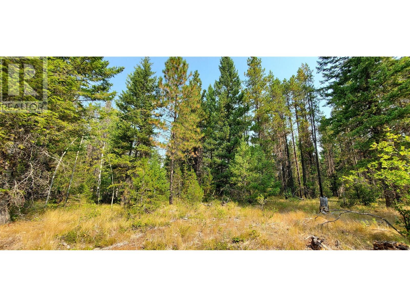 1670 MT BALDY Road, Rock Creek