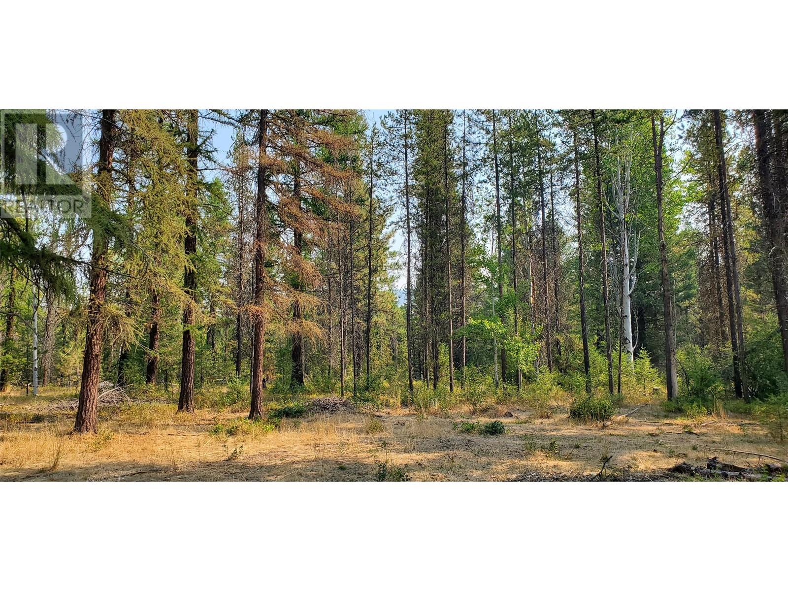 1670 MT BALDY Road, Rock Creek