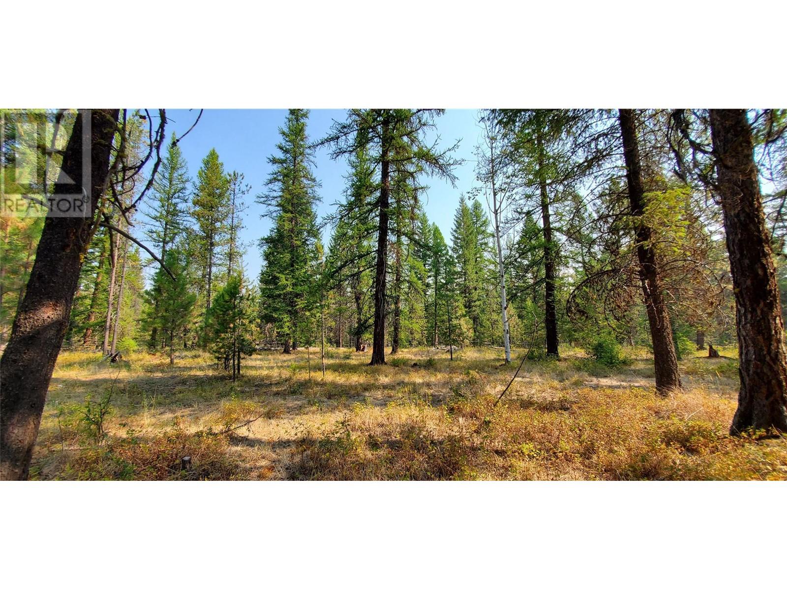 1670 MT BALDY Road, Rock Creek