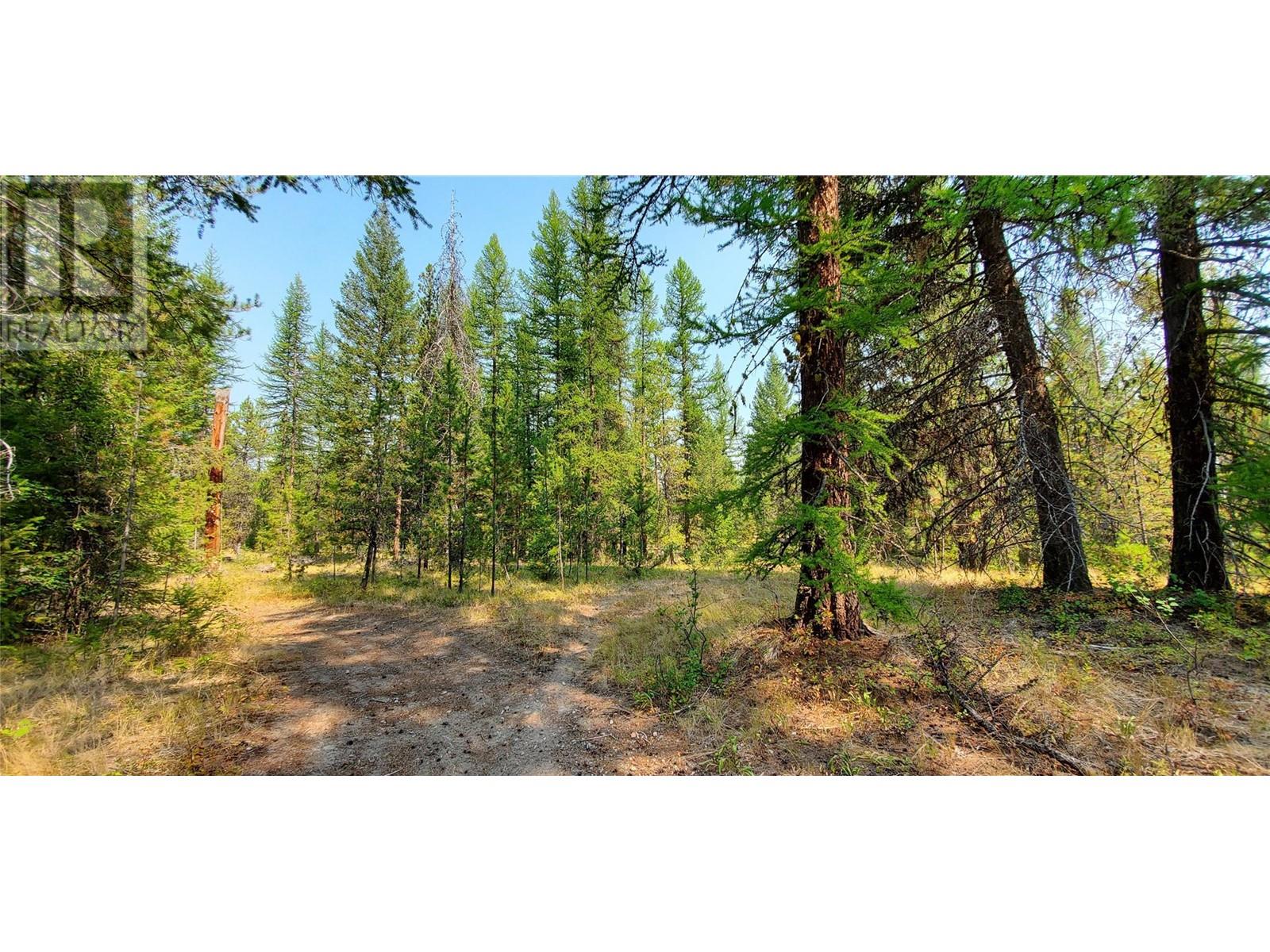 1670 MT BALDY Road, Rock Creek