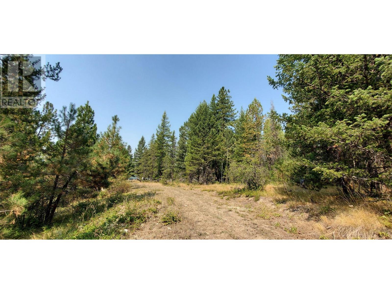 1670 MT BALDY Road, Rock Creek