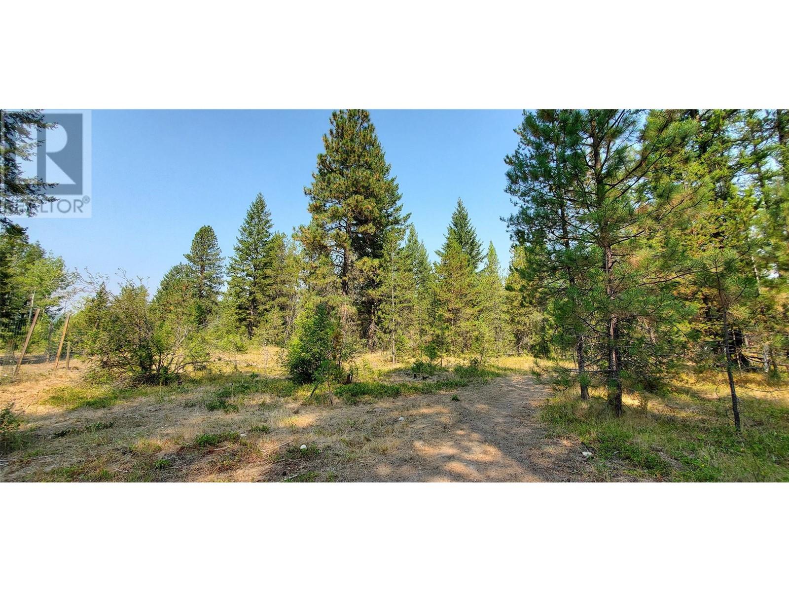 1670 MT BALDY Road, Rock Creek