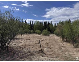 4816 & 4818 55 St, Fawcett, AB T0G0Y0 Photo 7