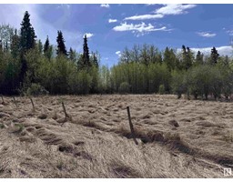 4816 & 4818 55 St, Fawcett, AB T0G0Y0 Photo 11