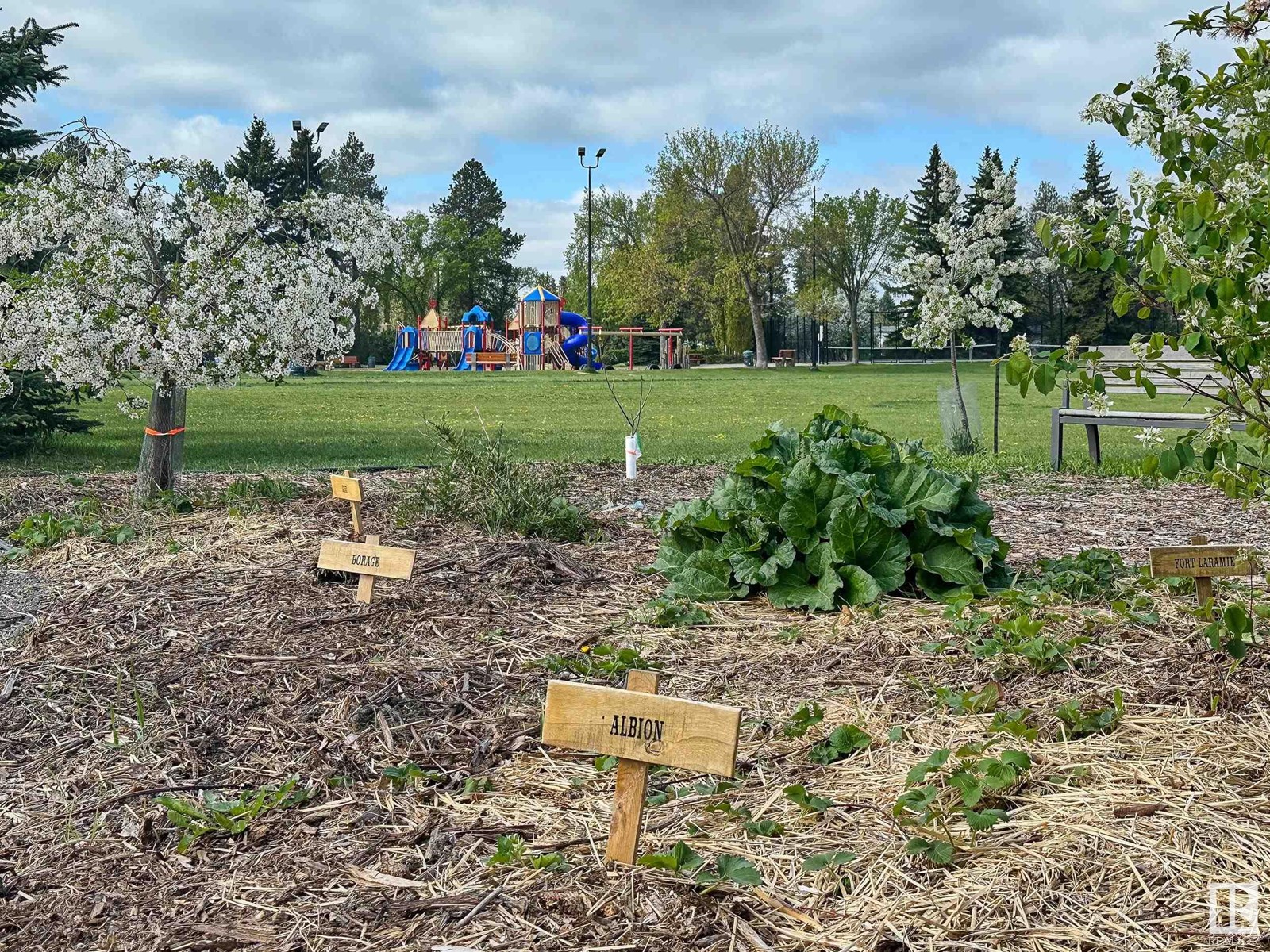 8604 BUENA VISTA RD NW, Edmonton