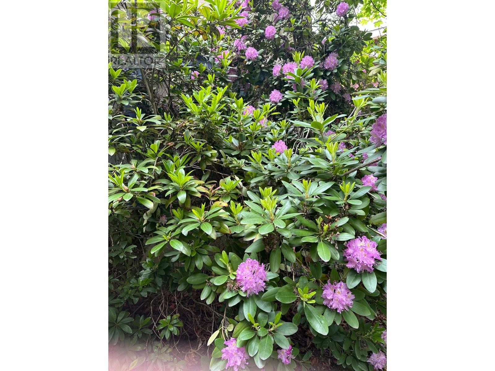 815 BAKER Street, Nelson