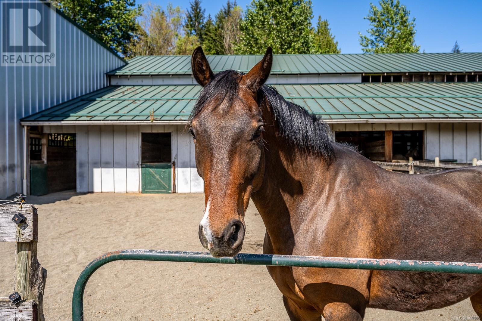 Photo 9 of 3155 Grant Rd, Courtenay BC