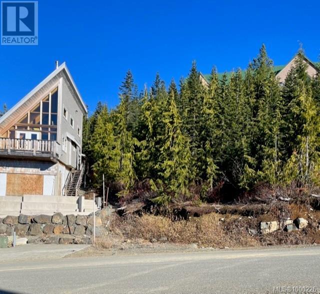 990 Cruikshank Ridge, Courtenay