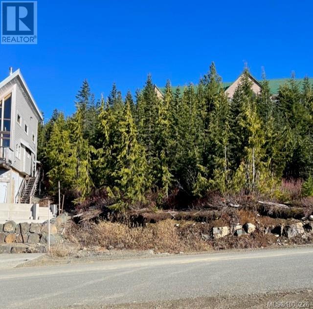 990 Cruikshank Ridge, Courtenay