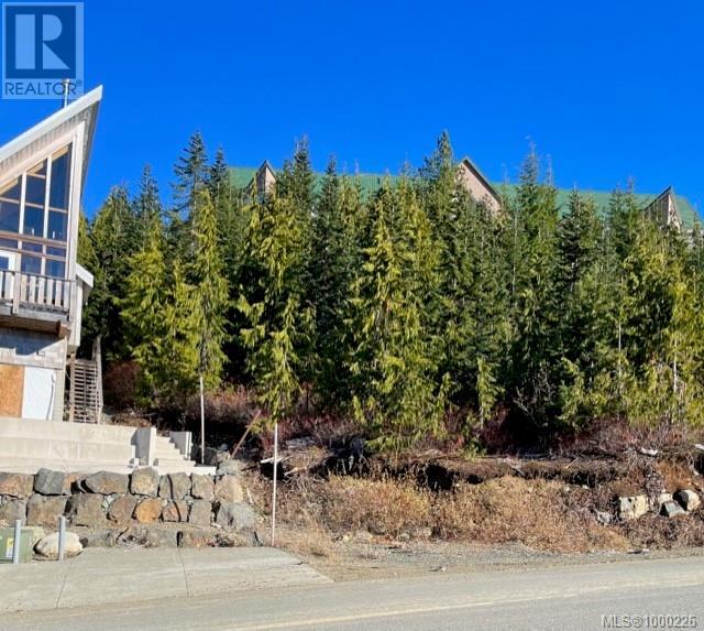 990 Cruikshank Ridge, Courtenay