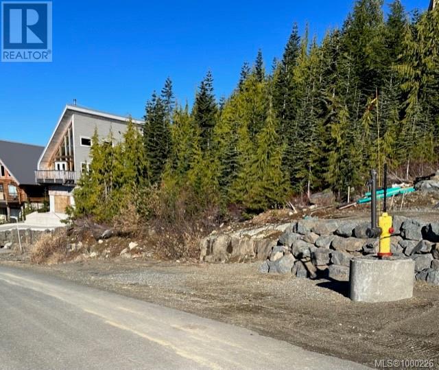 990 Cruikshank Ridge, Courtenay