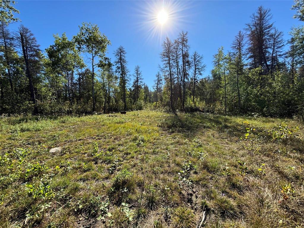 Photo 1 of 37114 Zebrun Road, Belair MB