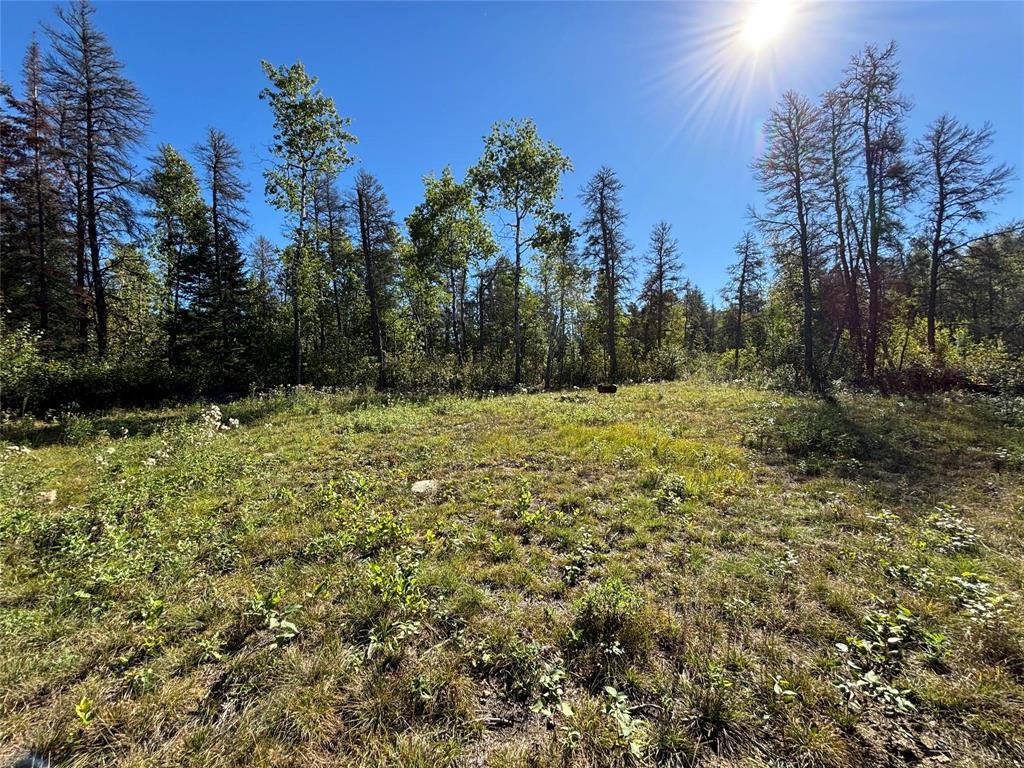 Photo 3 of 37114 Zebrun Road, Belair MB