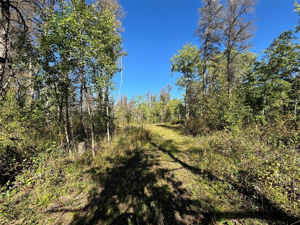 Photo 4 of 37114 Zebrun Road, Belair MB