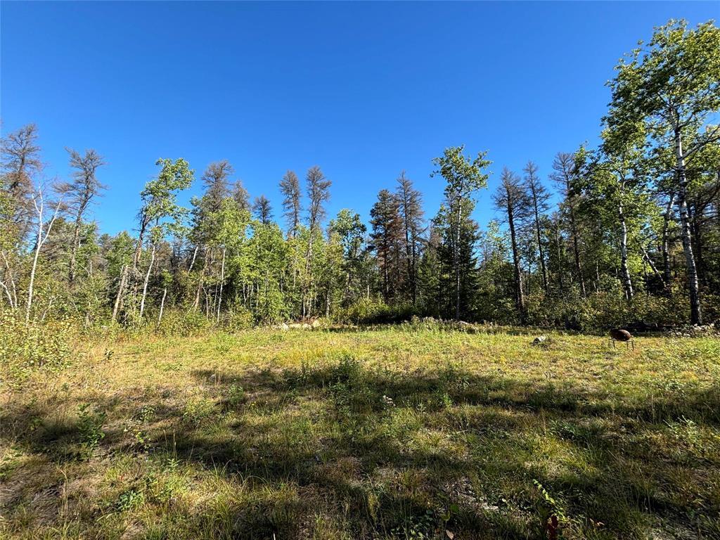 Photo 5 of 37114 Zebrun Road, Belair MB