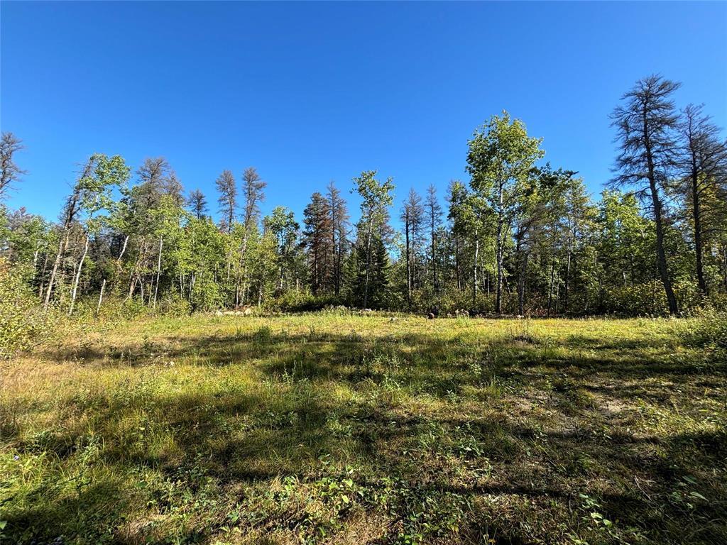 Photo 6 of 37114 Zebrun Road, Belair MB