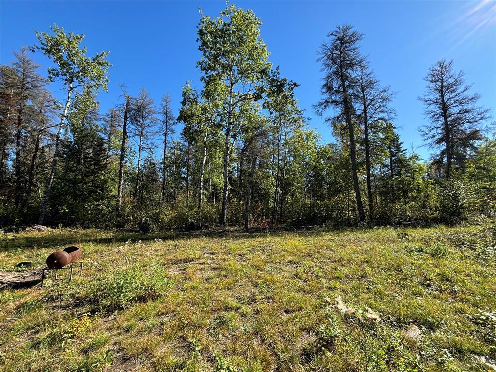 Photo 7 of 37114 Zebrun Road, Belair MB