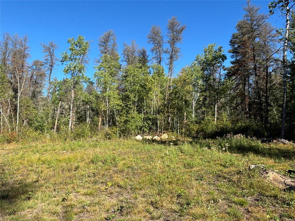 Photo 8 of 37114 Zebrun Road, Belair MB
