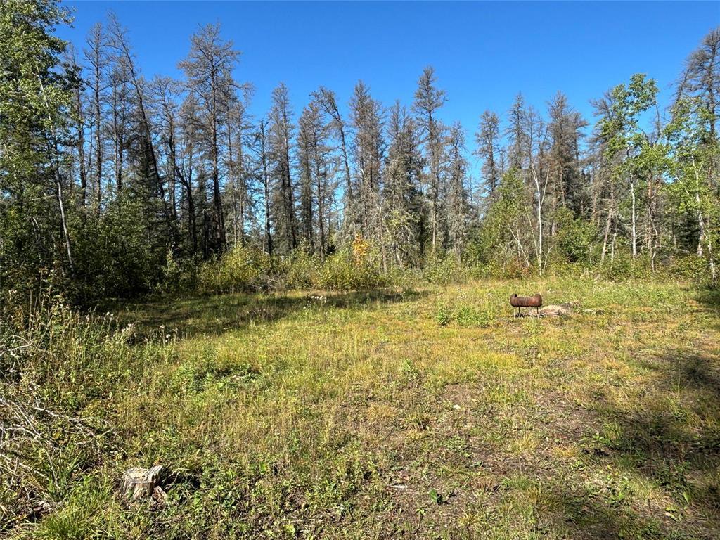 Photo 9 of 37114 Zebrun Road, Belair MB