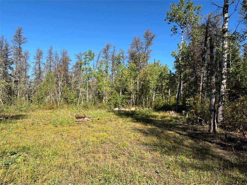 Photo 10 of 37114 Zebrun Road, Belair MB