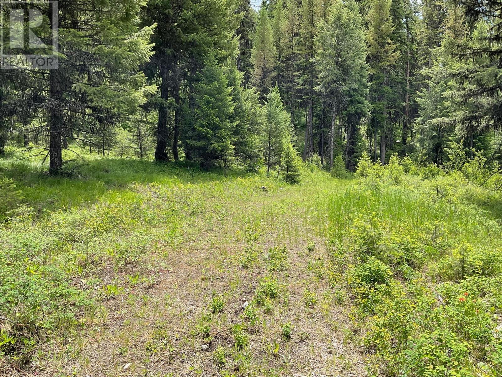 Lot 1 NICHOLSON CREEK Road, Rock Creek