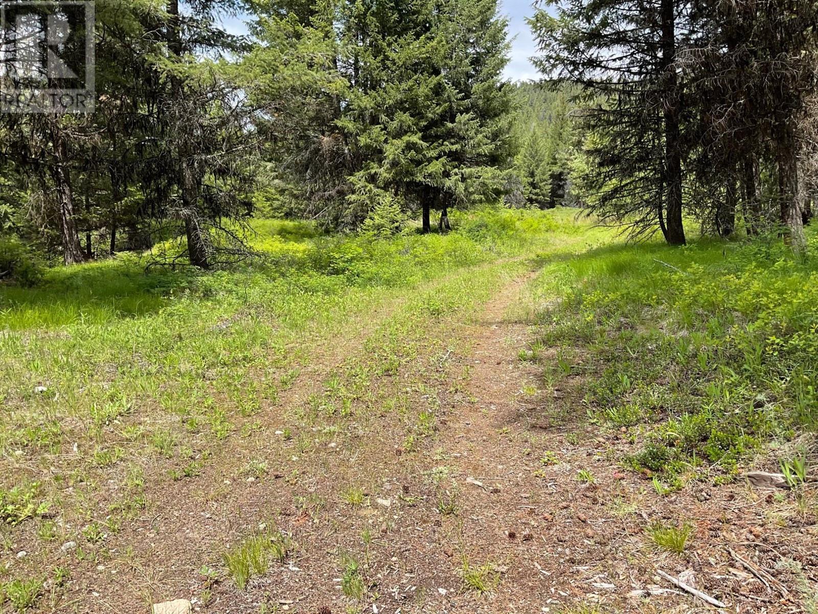 Lot 1 NICHOLSON CREEK Road, Rock Creek