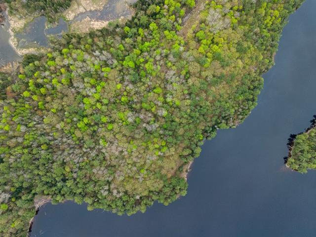 Photo 10 of Ch De La Pointe A Lours, Denholm QC