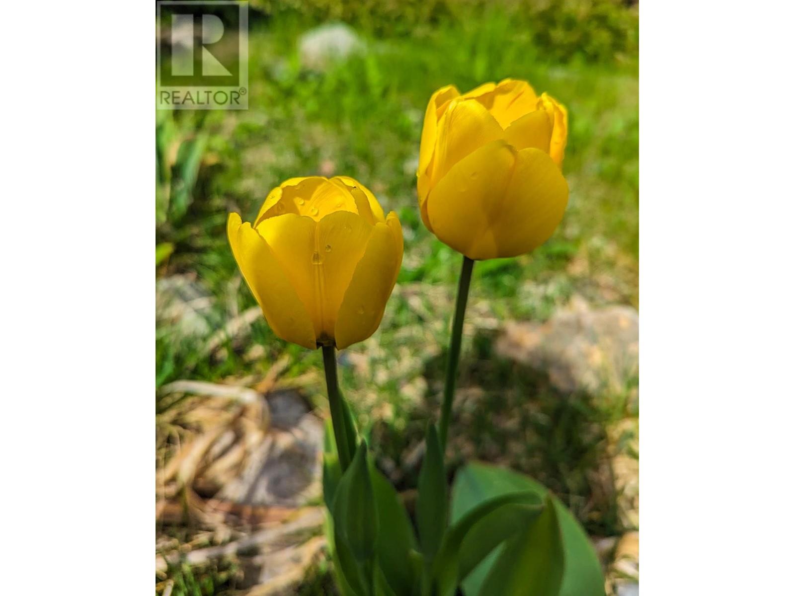 3 Dogwood Place, Osoyoos