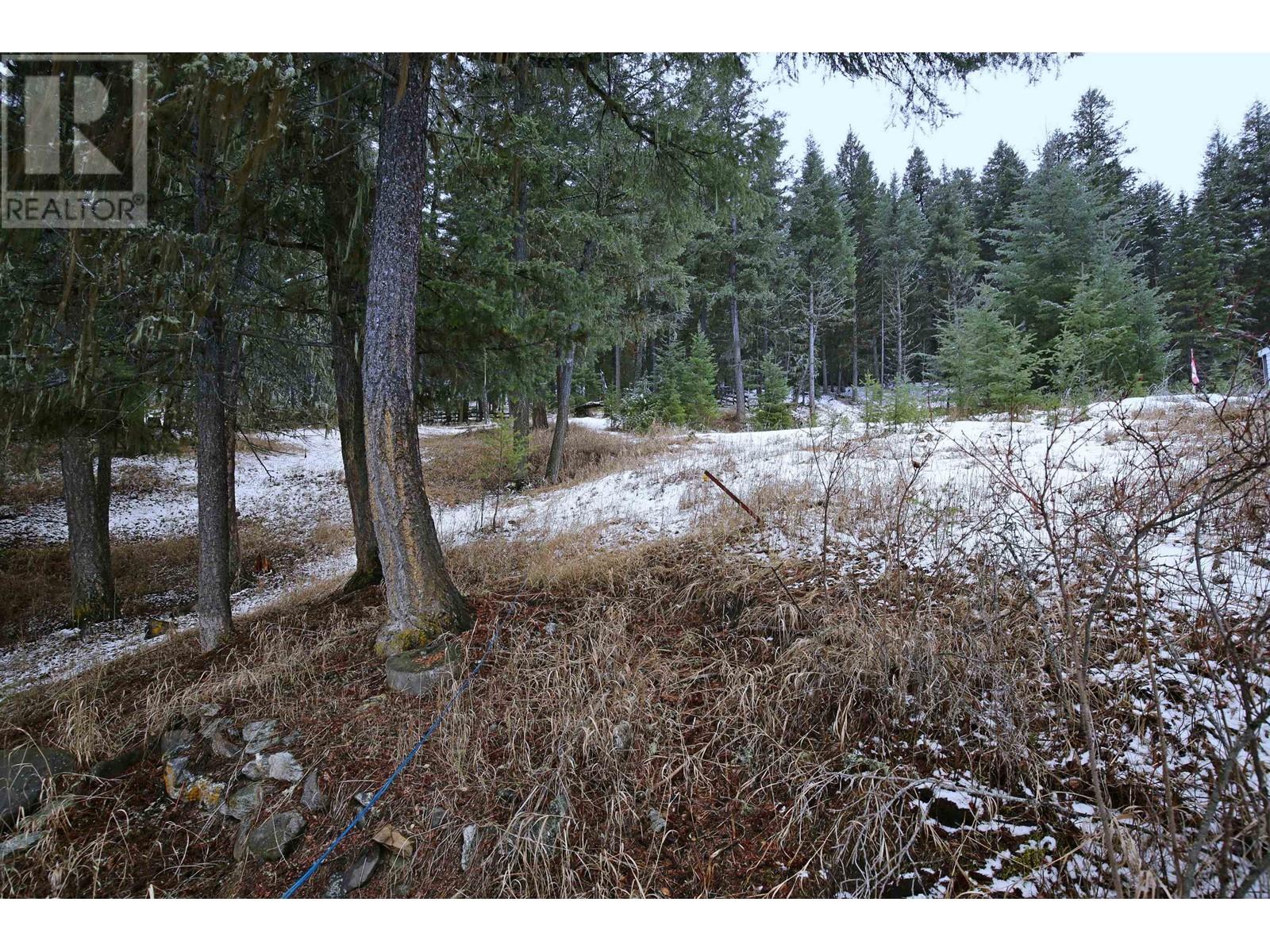 217 MOUNTVIEW DRIVE, Williams Lake