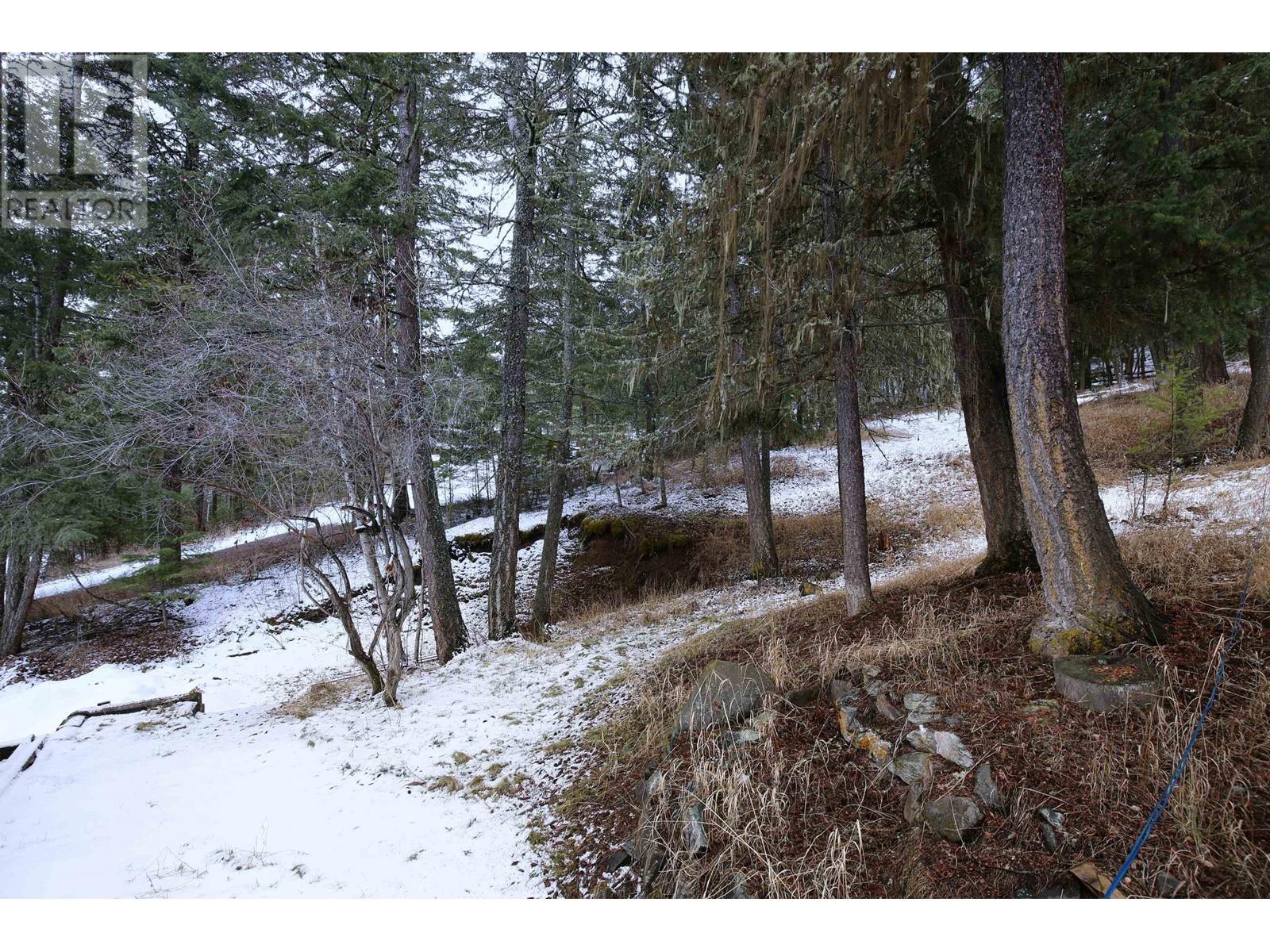 217 MOUNTVIEW DRIVE, Williams Lake