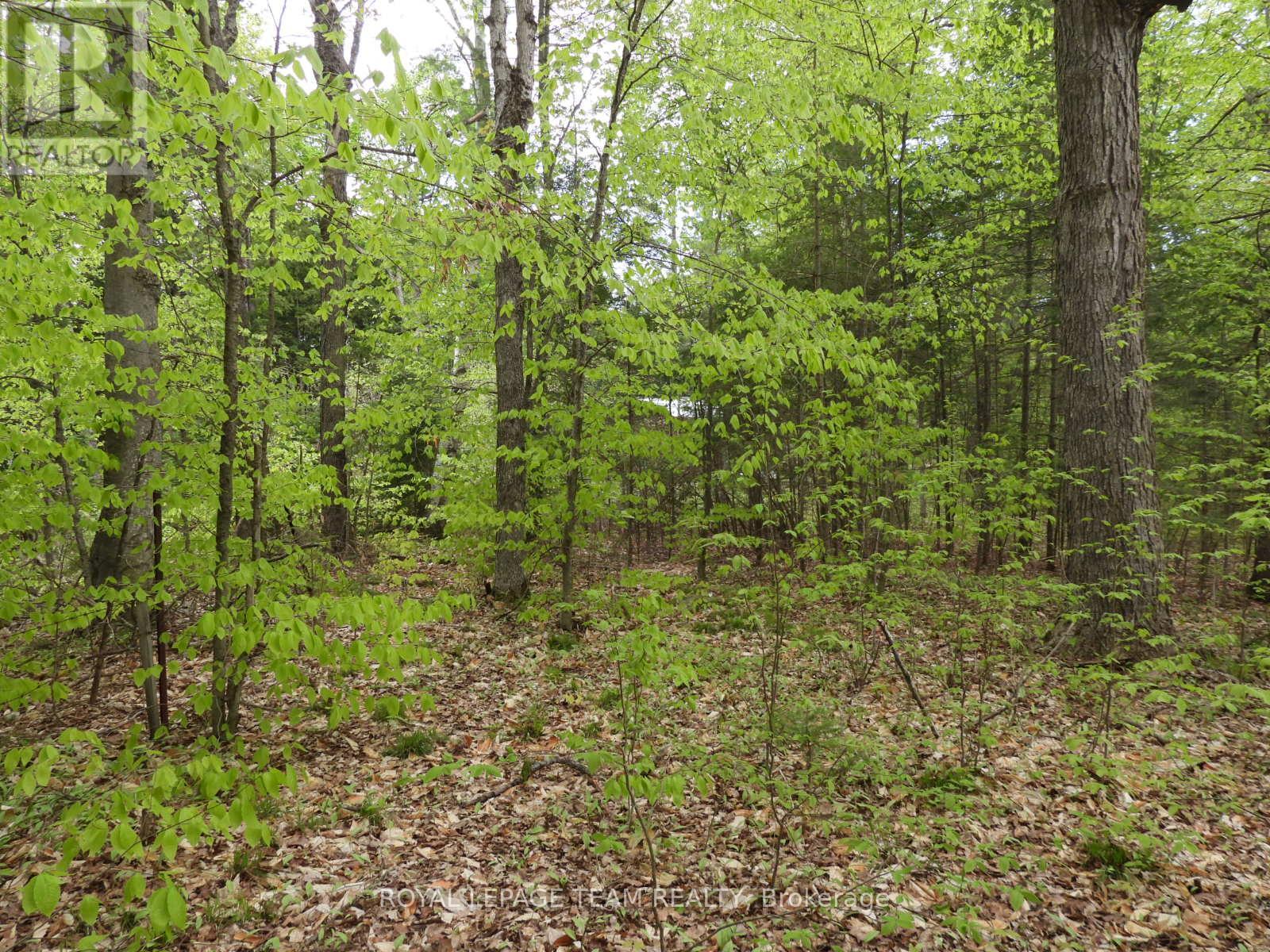 Photo 5 of 112 Mitchell Lane, Mcnab Braeside ON