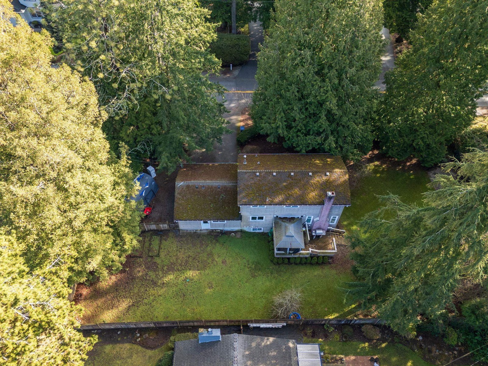 Photo 34 of 2461 124th Street, Surrey BC