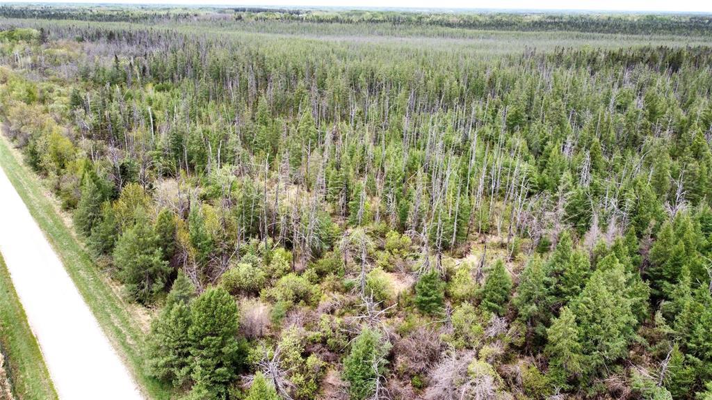 Photo 5 of 0 3 N Road, South Junction MB