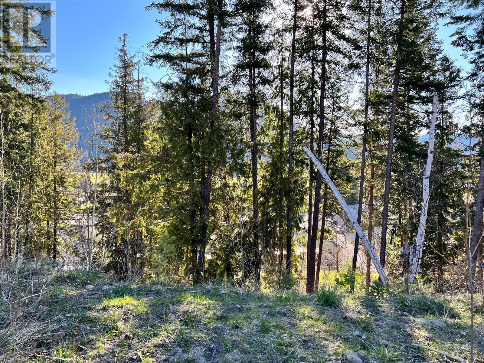 2541 Cedar Ridge Court, Lumby
