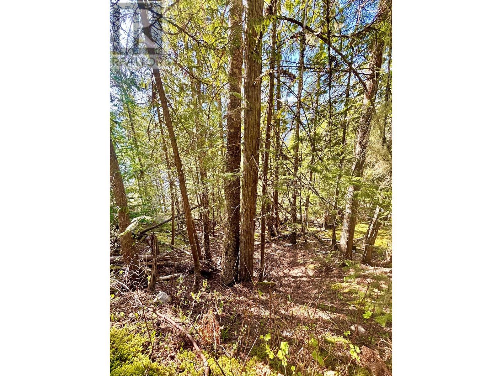 3614 Lumby Mabel Lake Road, Lumby