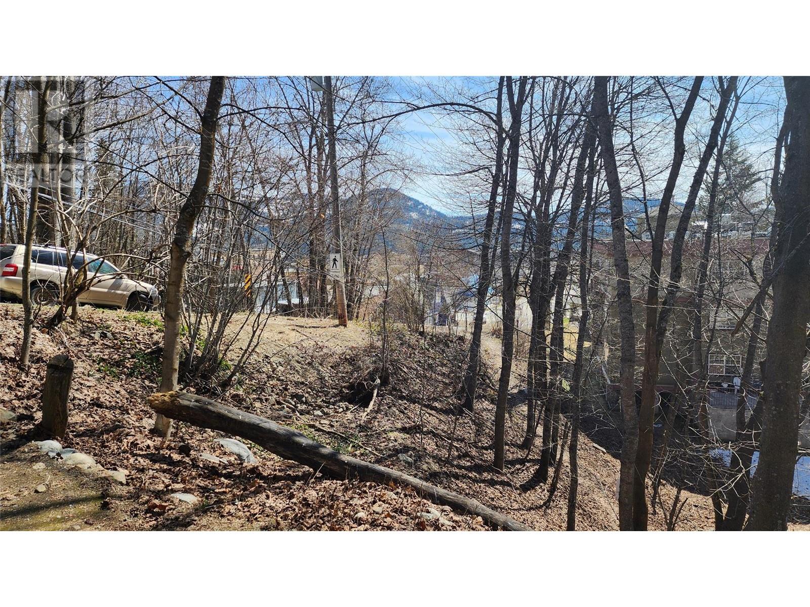 2165 Spokane Street, Rossland