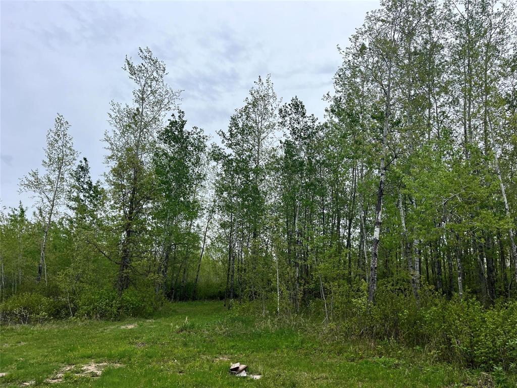 Photo 20 of 64126 8 N Road, Piney Rm MB