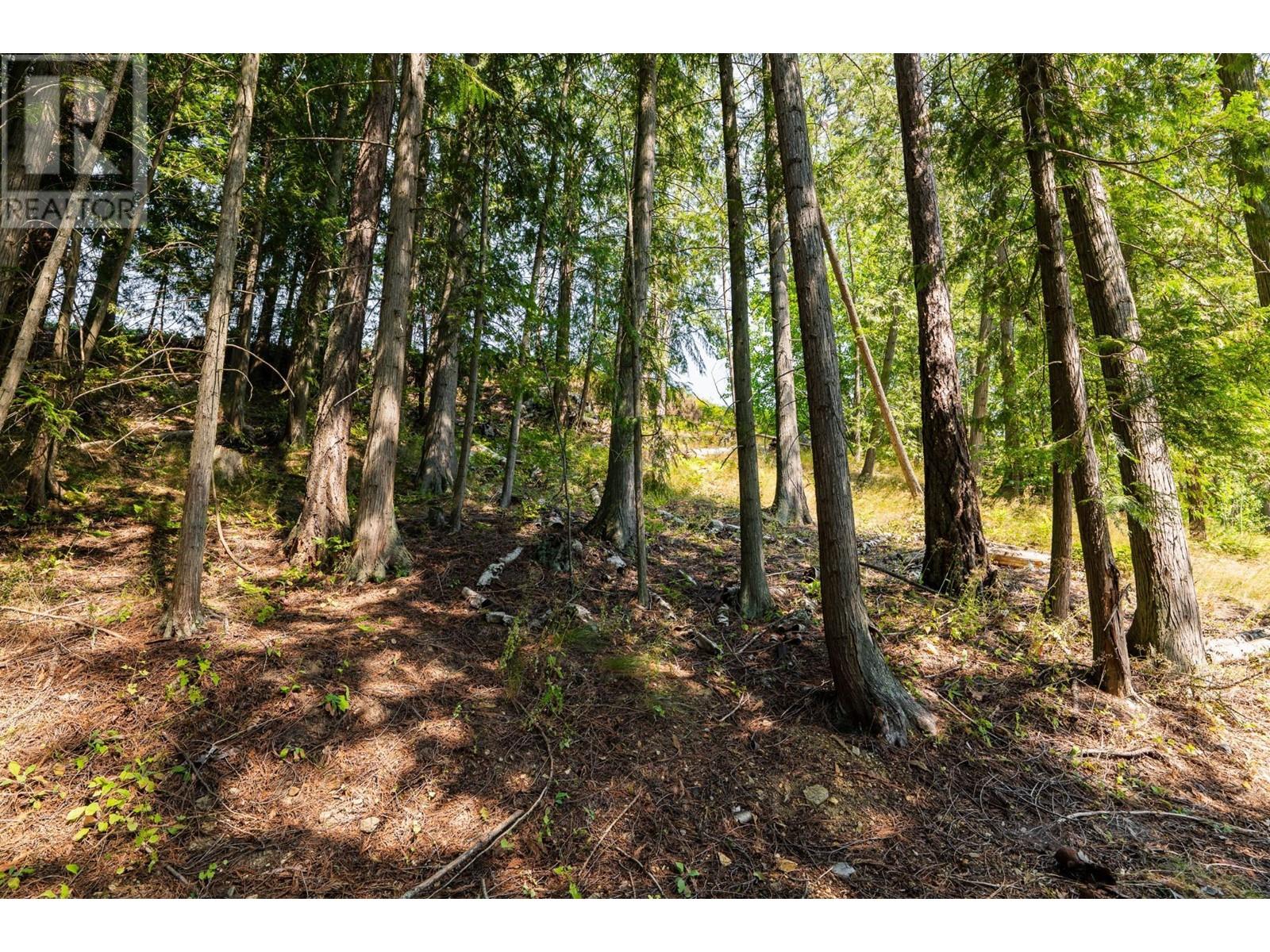 6802 MARIAN Lane, Nelson