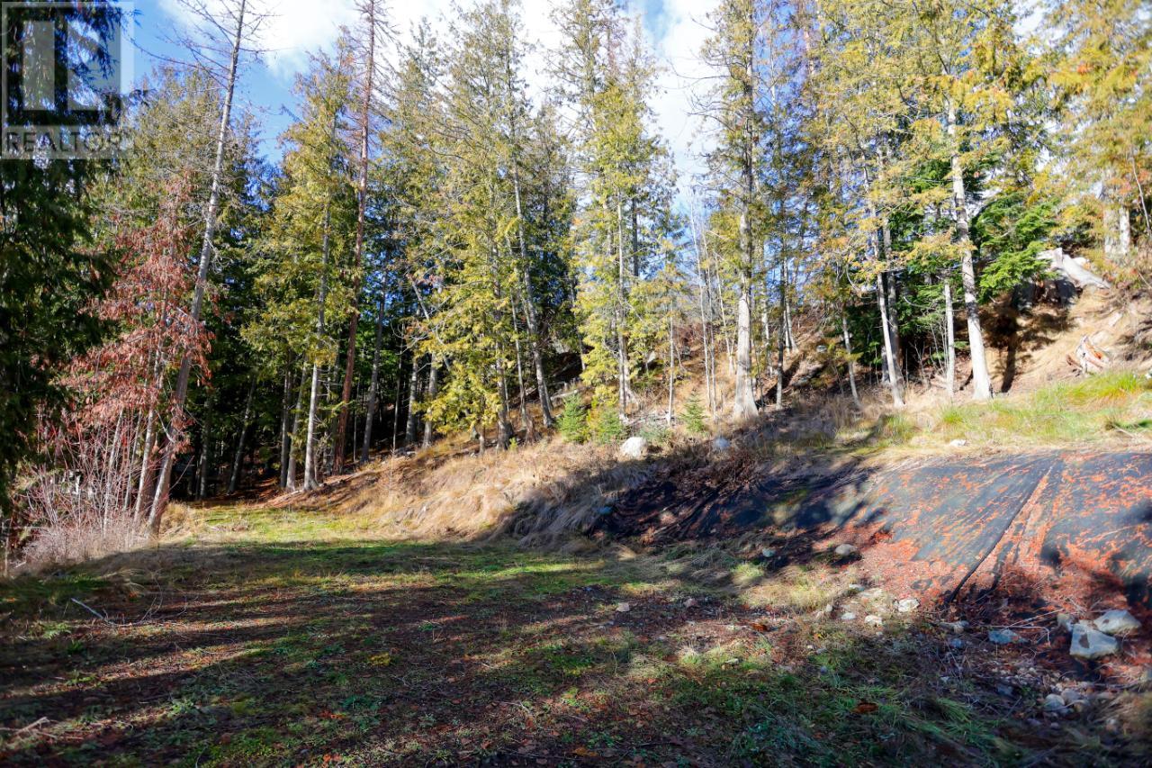 6802 MARIAN Lane, Nelson