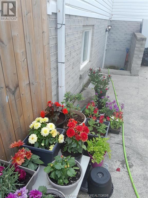 Photo 2 of 75 Sutton, Leamington ON