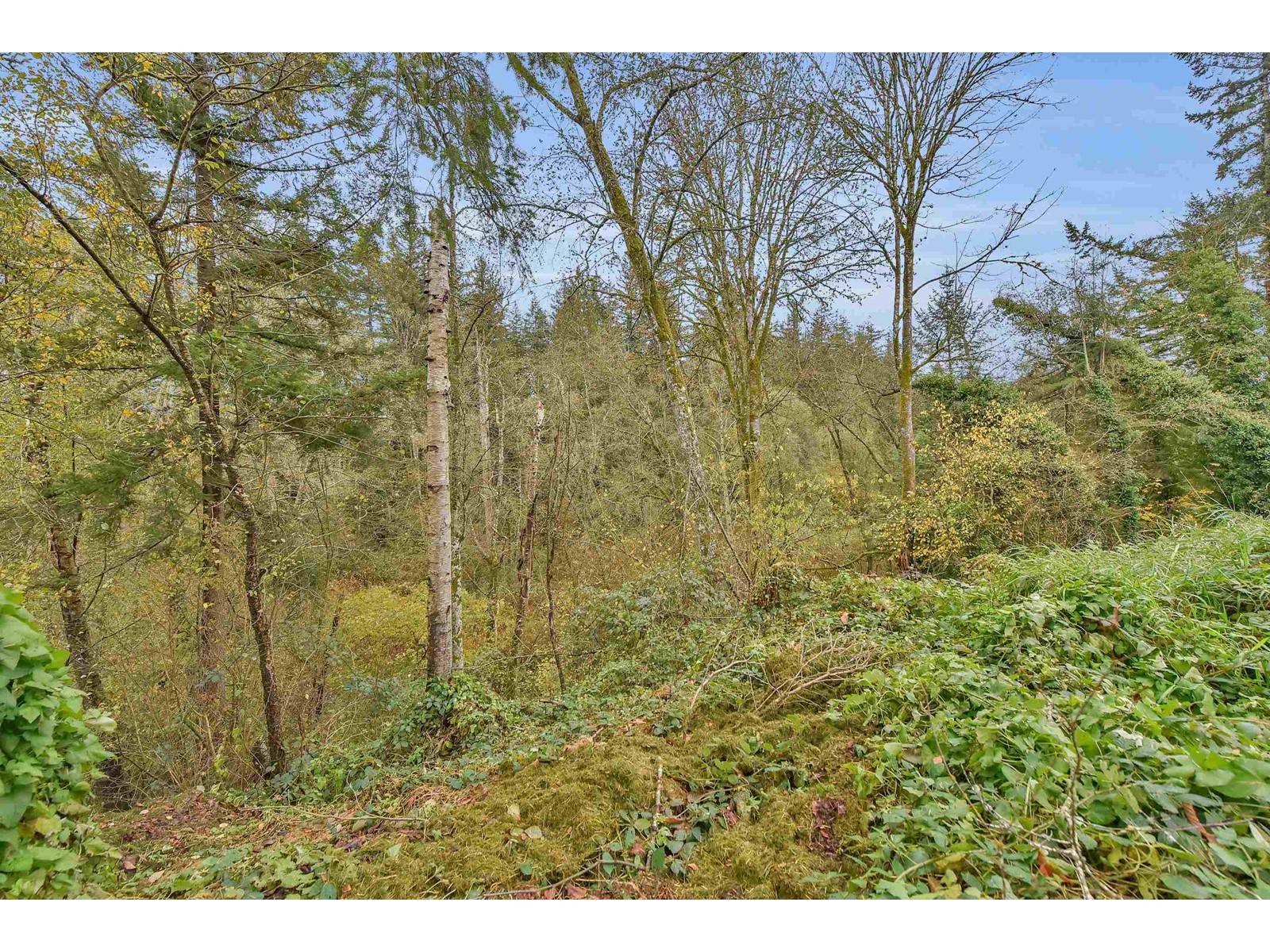 Photo 36 of 20054 Fernridge Crescent, Langley BC