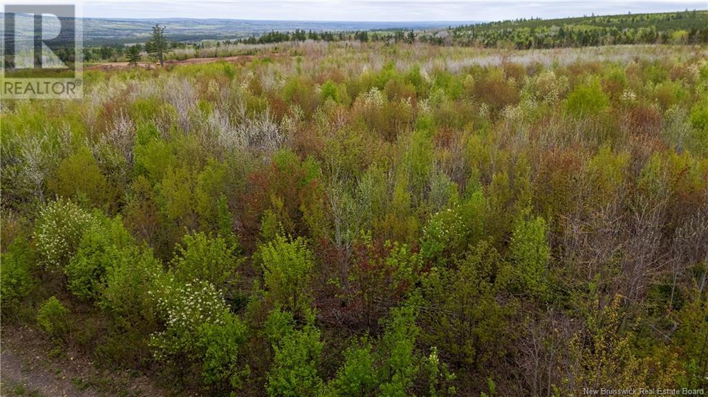 Photo 11 of Lot 38 Davidson Road, Anagance NB