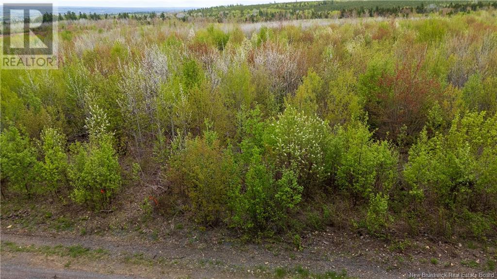 Photo 12 of Lot 38 Davidson Road, Anagance NB