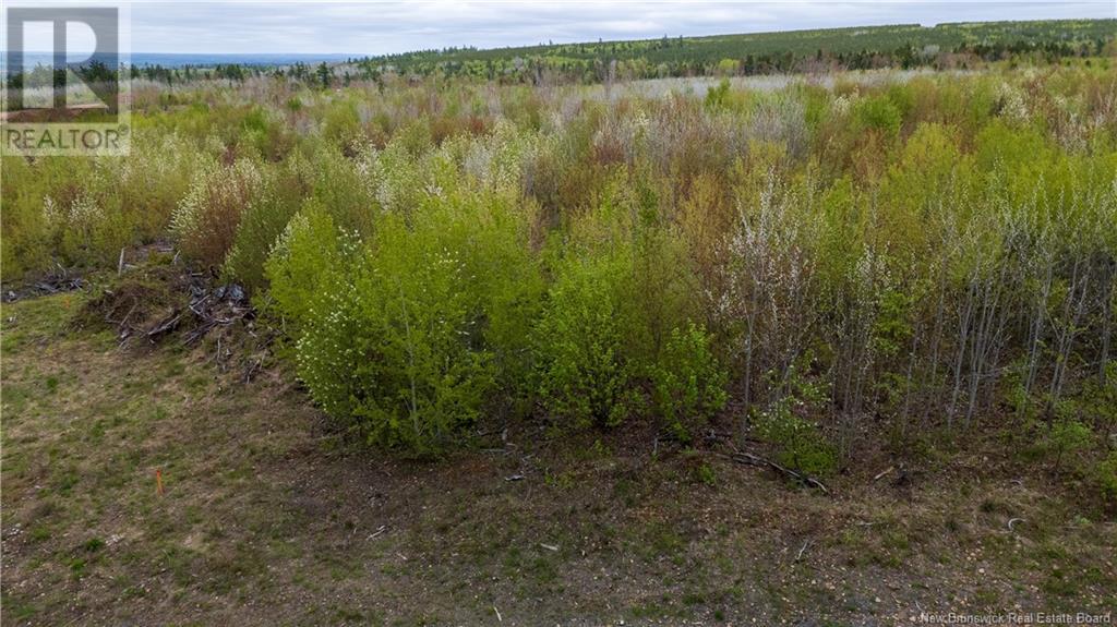 Photo 13 of Lot 38 Davidson Road, Anagance NB