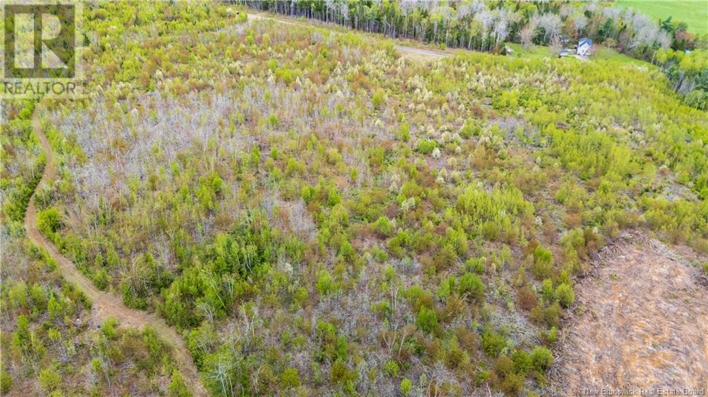 Photo 4 of Lot 38 Davidson Road, Anagance NB