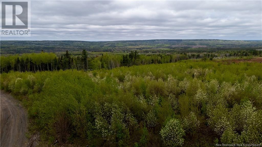 Photo 9 of Lot 38 Davidson Road, Anagance NB