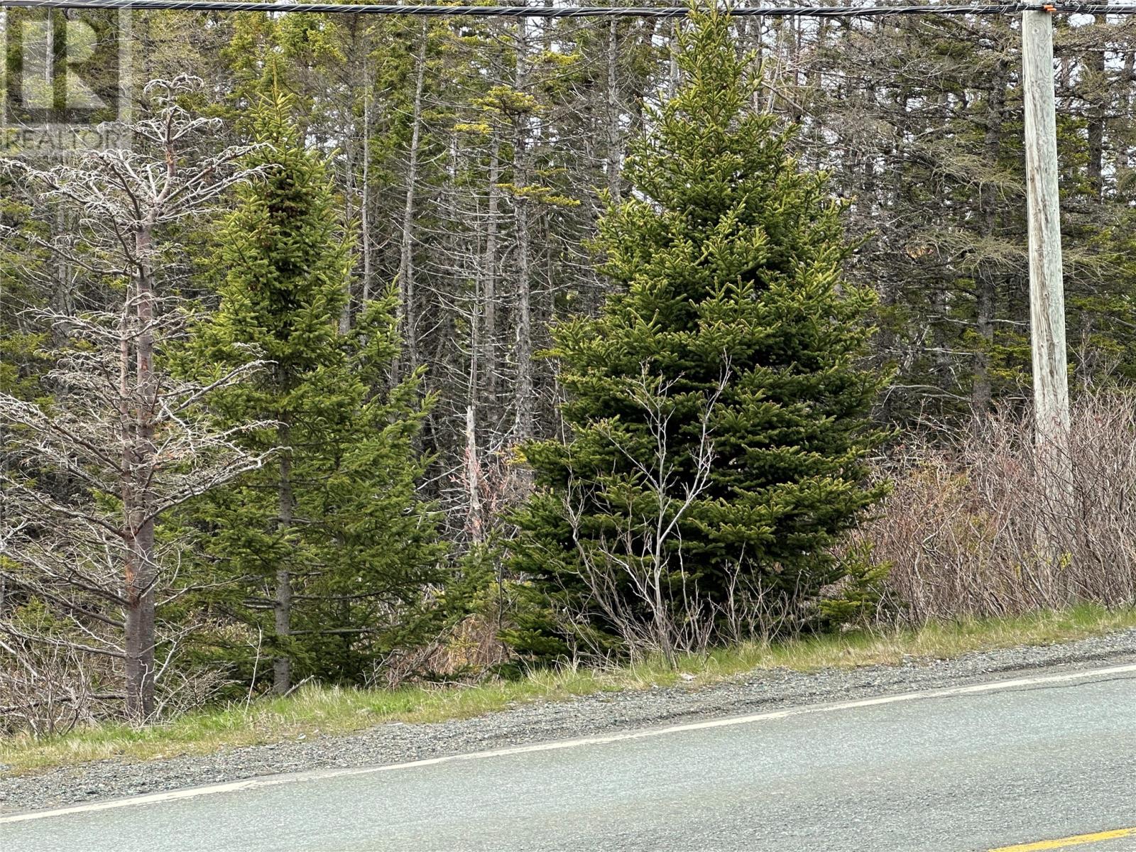 Photo 22 of 138 146 Conception Bay Highway, Holyrood NL
