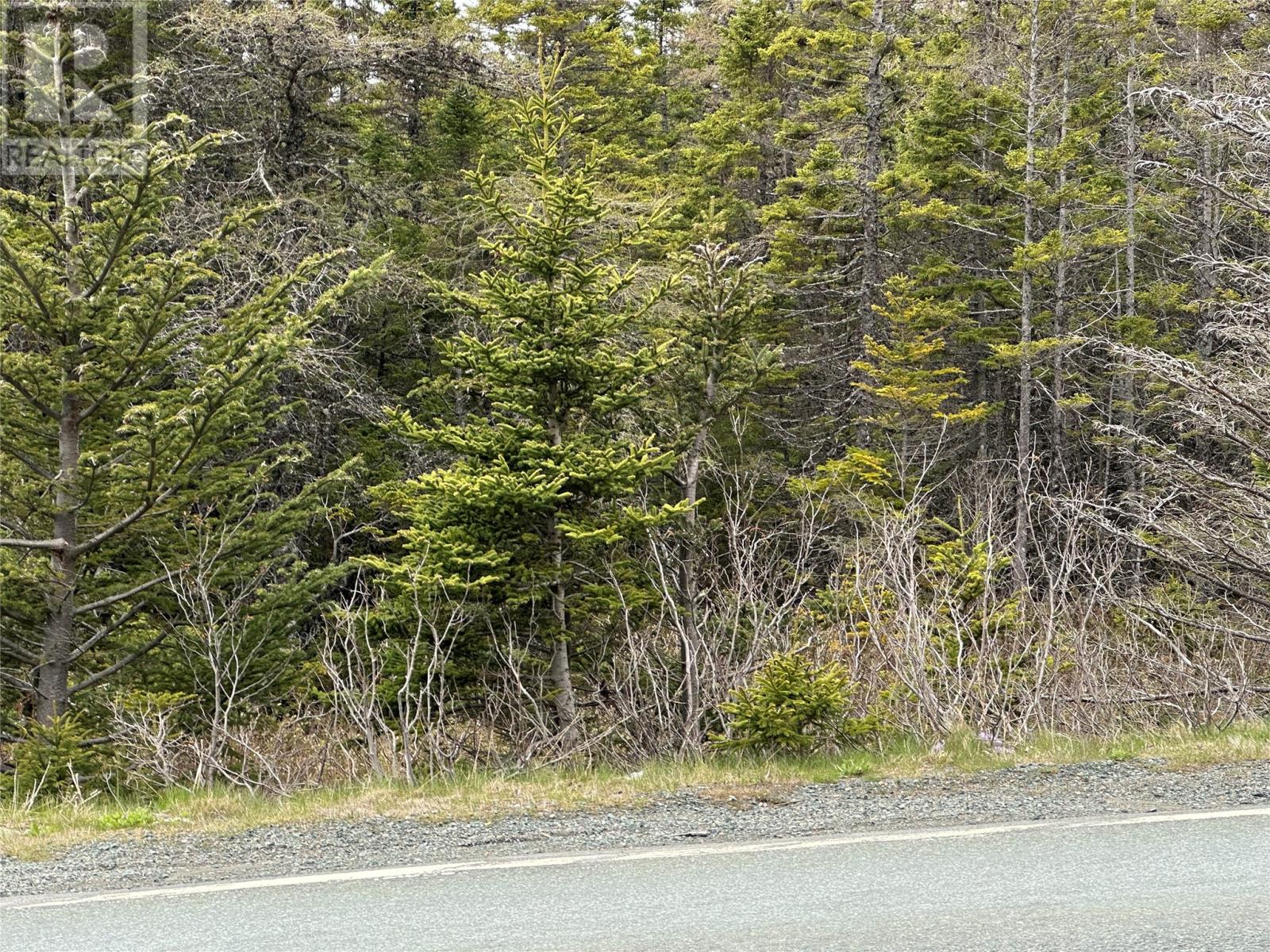 Photo 23 of 138 146 Conception Bay Highway, Holyrood NL